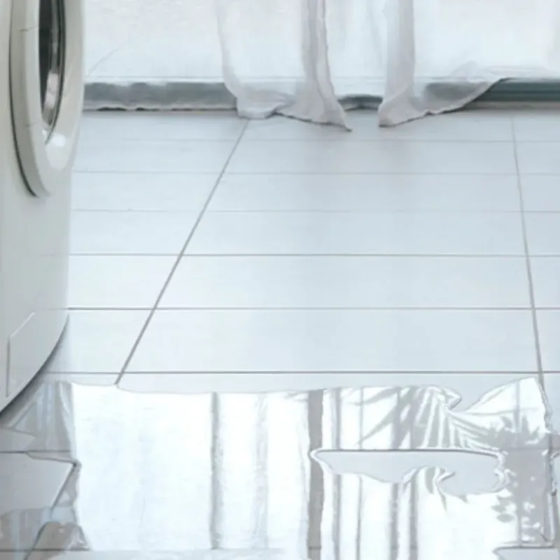 Appliance Leak Cleanup in Aliceville, AL