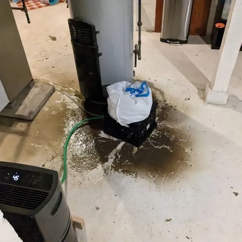 Sewage Backup Cleanup Service in Aliceville, AL